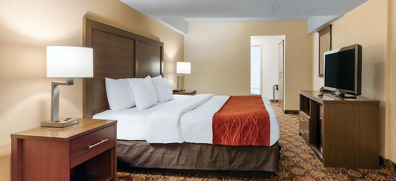 Comfort Inn Downtown Nashville Tn